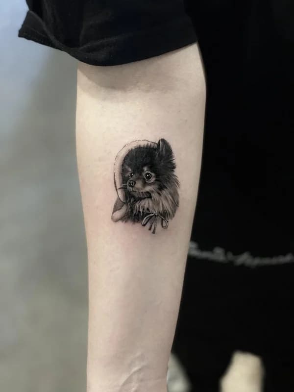 모자쓴 반려견의 모습을타투로 작업 일기!