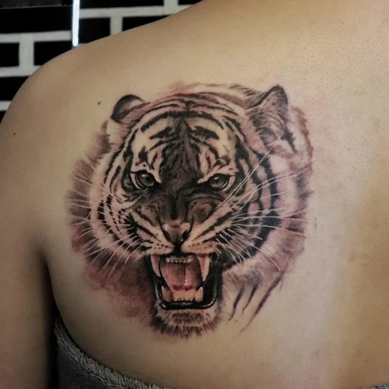 건대 의정부 호랑이타투