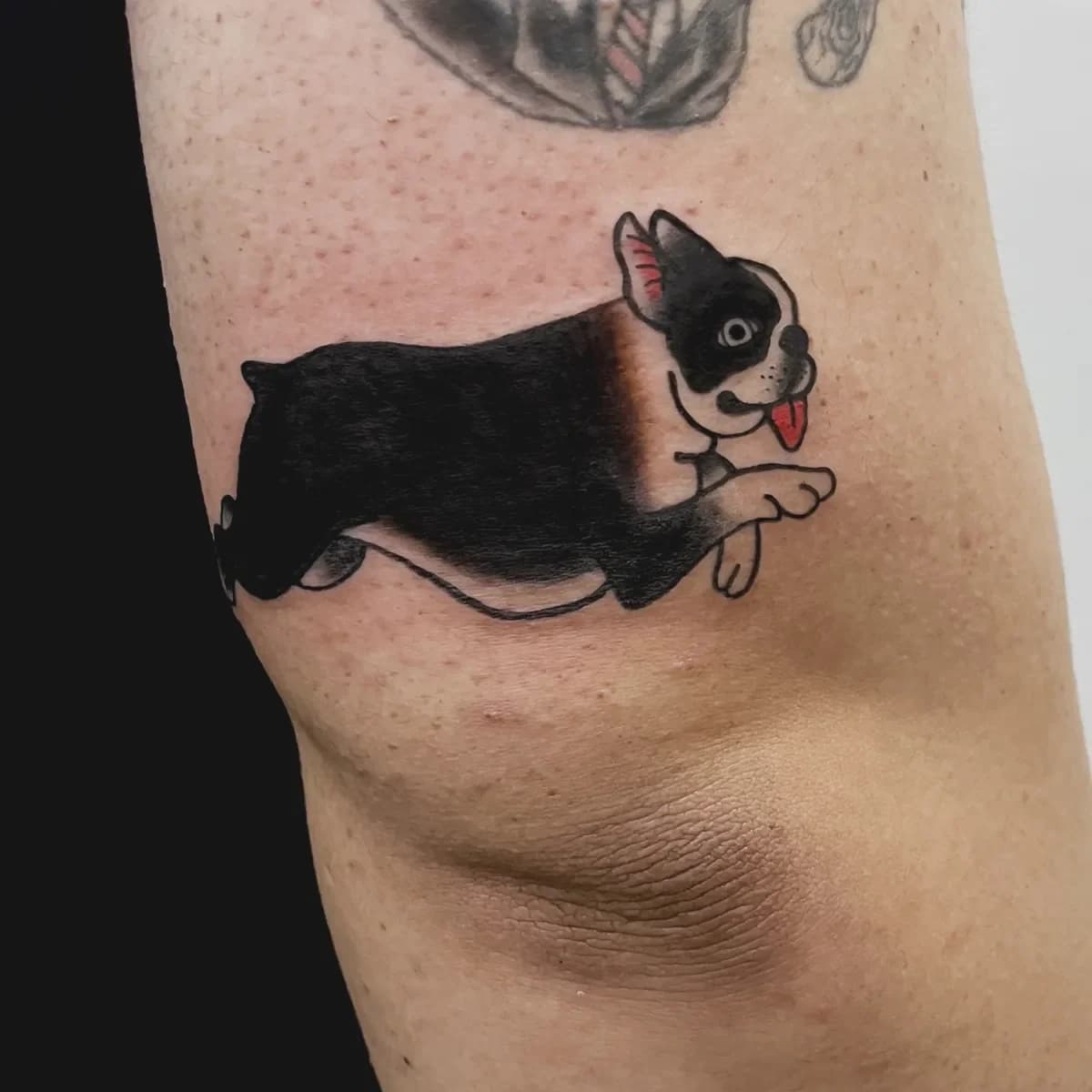 반려견 스쿨타투 - 1