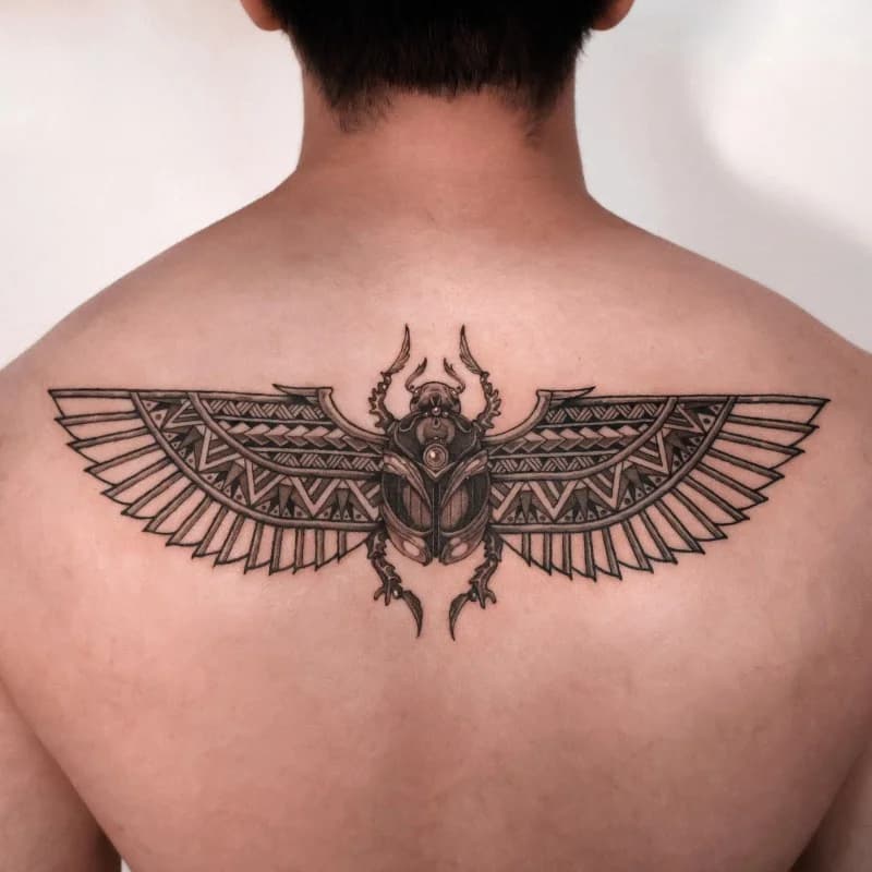 풍뎅이 폴리네시안