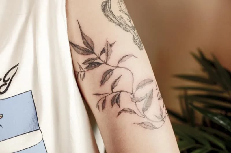 식물줄기 팔타투 tattooist_petal